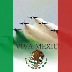 Meet your Posher, Celerino